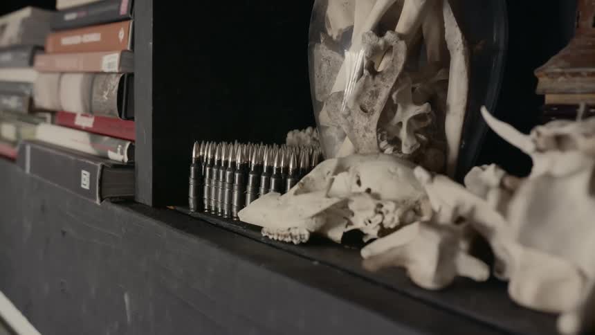 Bones and books on a shelf in a building