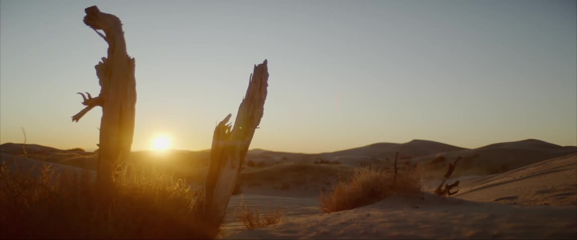 A man is riding a motorcycle in a desert area
