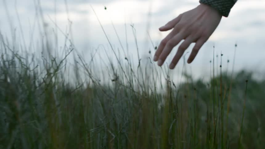 A woman runs her hand along tall grass