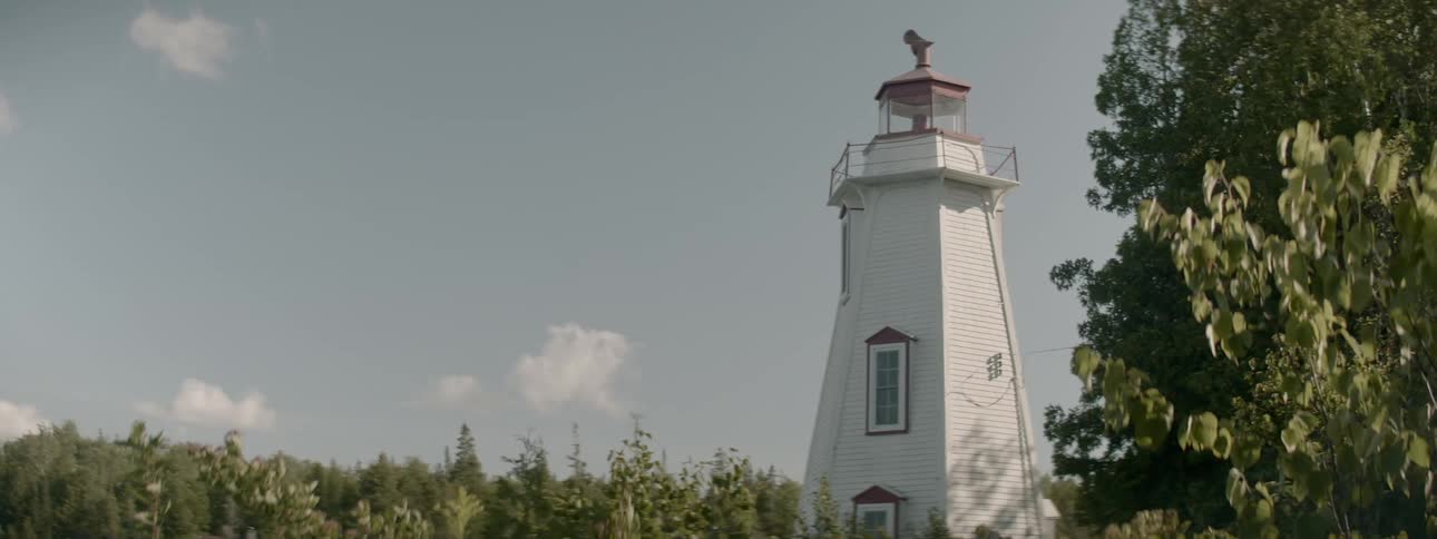 Observation tower stands above tree tops