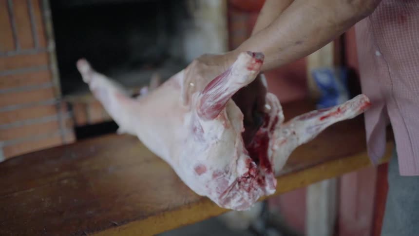 A person is pulling apart the rib cage of a butchered animal on a cutting board