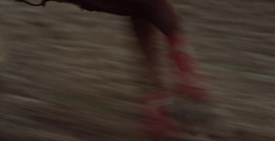 A horse gallops very quickly over the grass covered ground