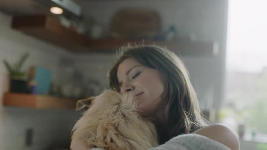 Woman holds and cuddles sporting lucas terrier dog in the house