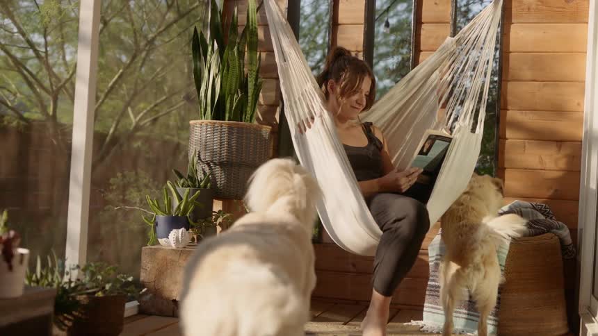 A woman sitting in a hammock reading a book while a pair of dogs walk around her