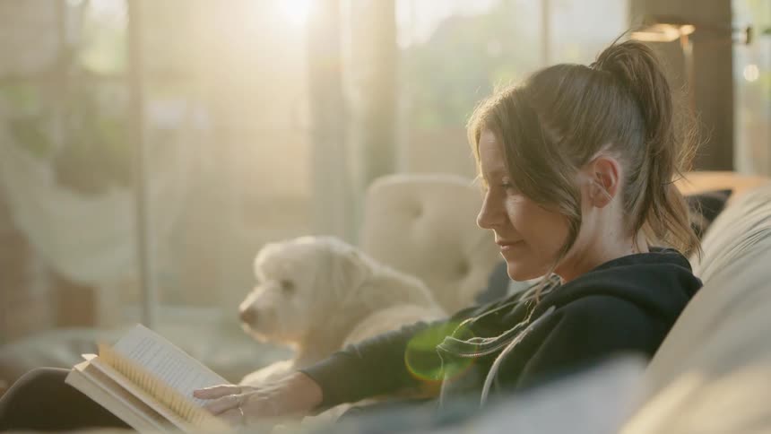 Woman sitting on the couch reads the book and touches the dog in the living room