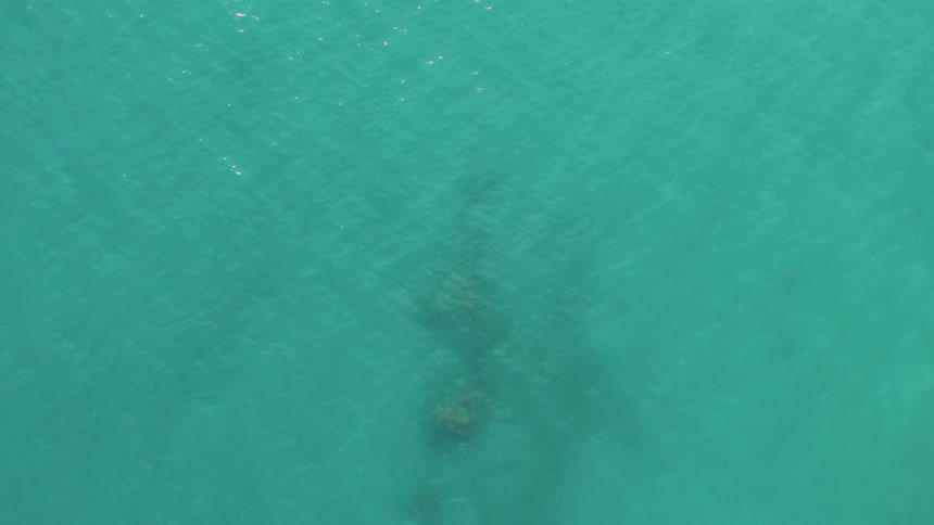 Ripples and small waves move across the surface of brilliant green ocean water