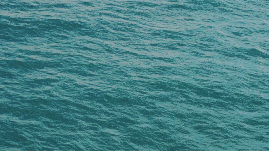 Waves move across a body of water
