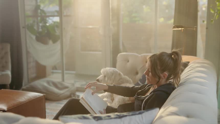 Woman sitting on the couch reads the book and touches the dog in the living room