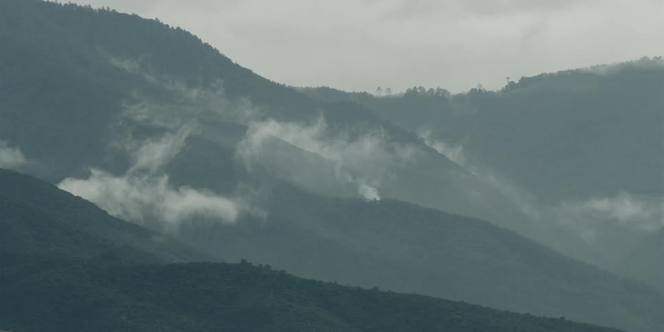 Clouds of mist hover over a heavily forested mountainous region