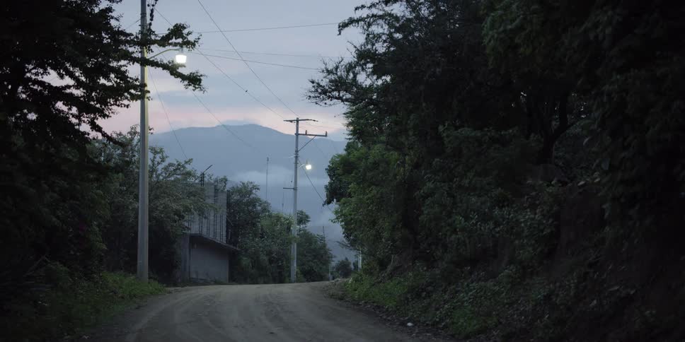 Road curves between woods leading toward mountain after dusk