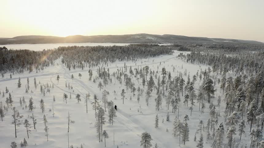 A lone person rides a bicycle through a remote snow covered forest