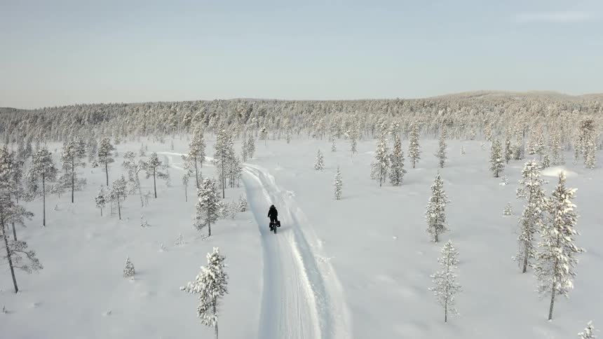 A bicyclist rides a fatbike down a road in a snow covered forest
