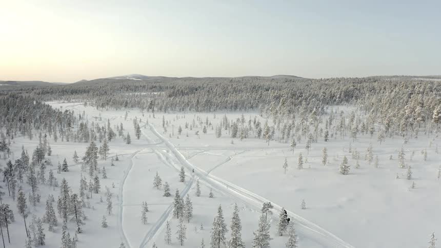 A lone person on a bicycle travels along a snow covered trail through forested wilderness