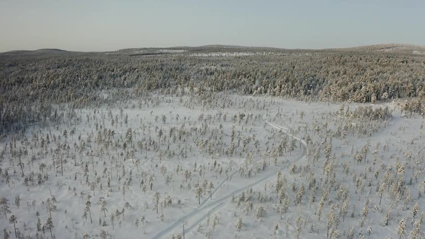 Snow covers the ground and sits lightly atop the trees in an expansive boreal forest