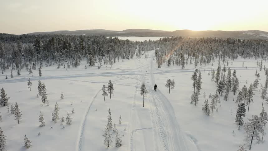 There are tracks in the snow covered forest and field