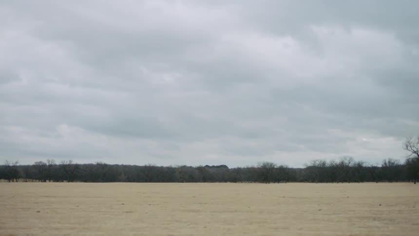 Rural farmland with trees around edge of large field