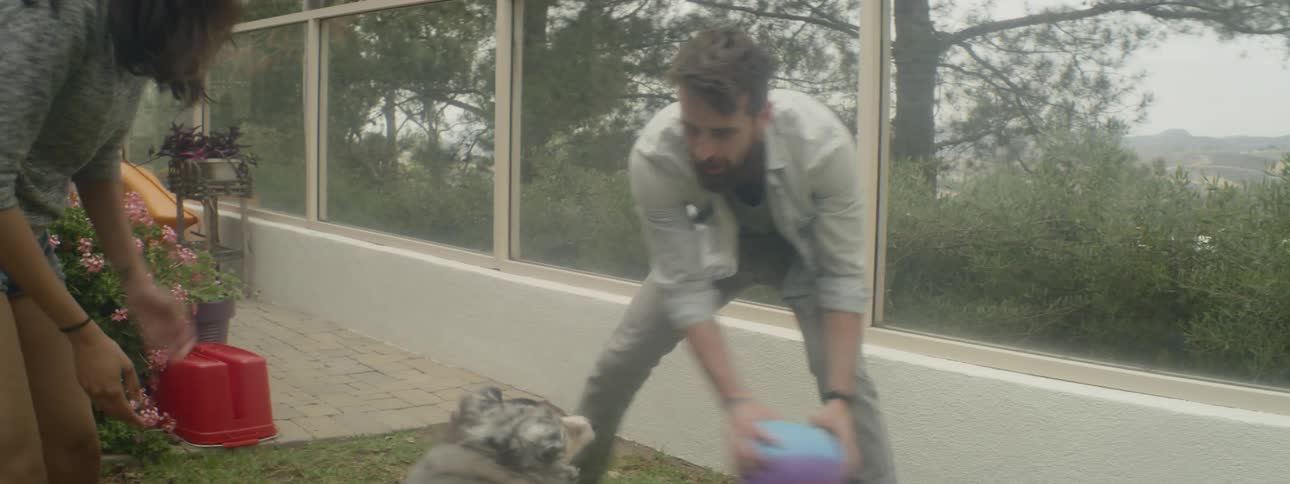 Man plays ball with the grey dog in the terrace