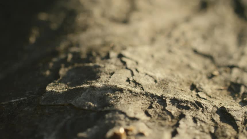 Soil with sunlight shining on it