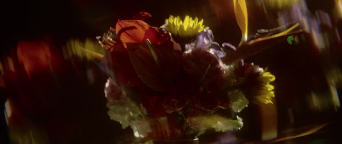 A bouquet of flowers is surrounded by spinning images of itself while a red light flashes
