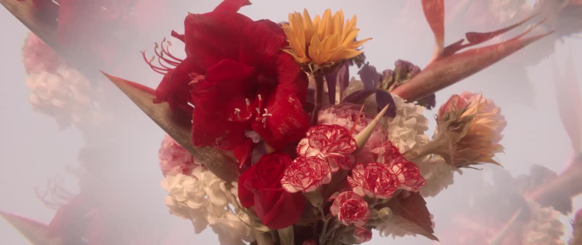 A bouquet of flowers including carnations and birds of paradise in a glass vase