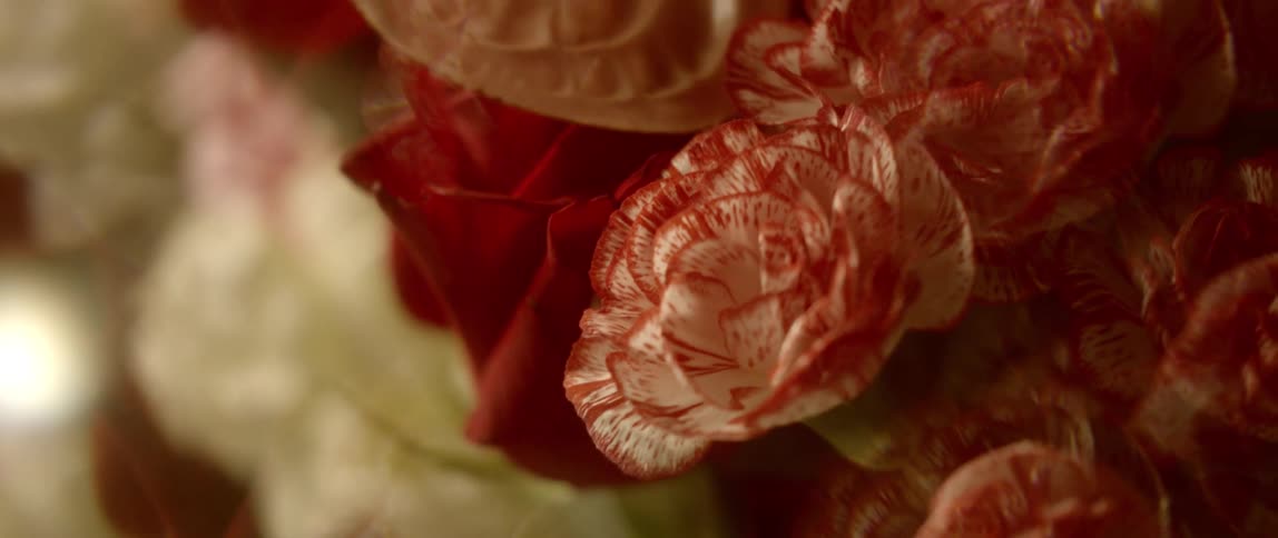 A bundle of red and white flowers