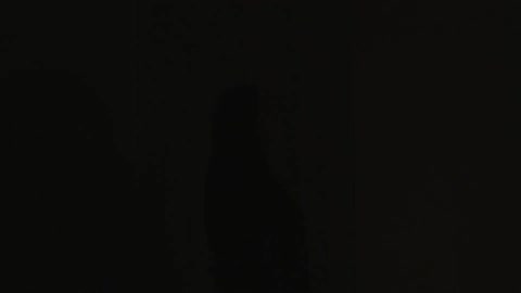 Lights flash briefly to see a woman standing in front of a red curtain