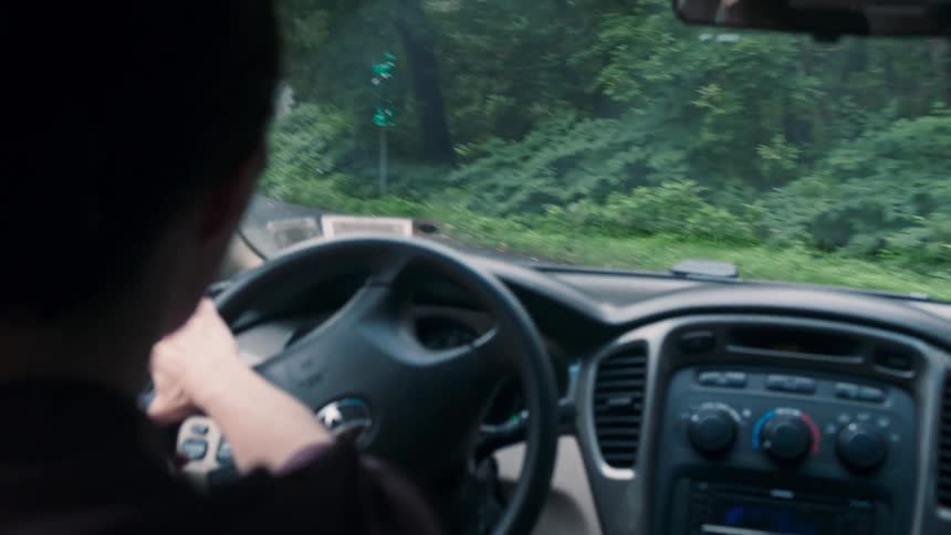 A person drives along a road lined by forest