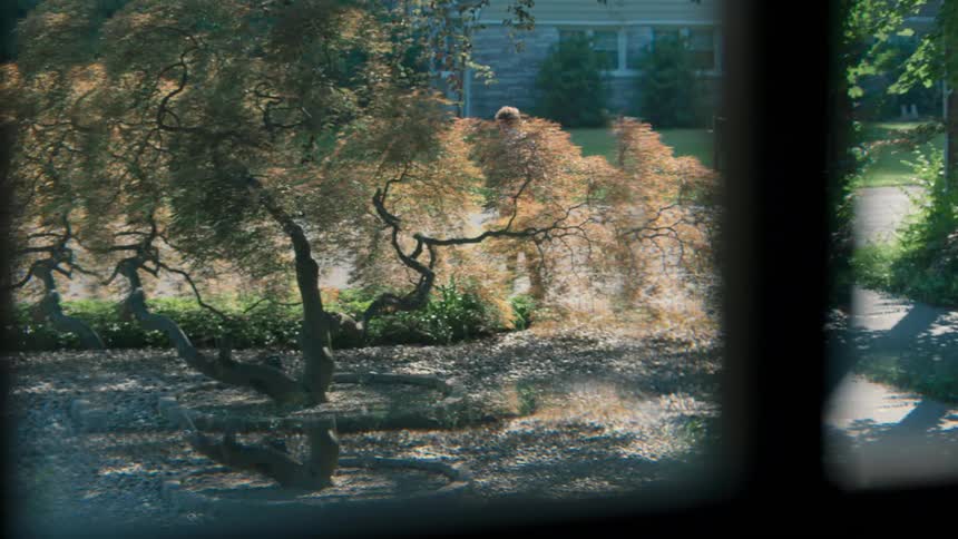 A man is viewed walking to his car in the driveway through window panes