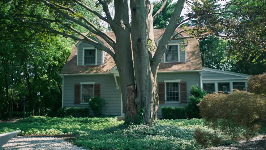 A pair of large trees growing beside one another in front of a house