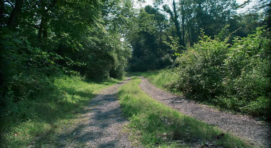 A rural gravel road with grass growing down the center and trees and bushes on both sides