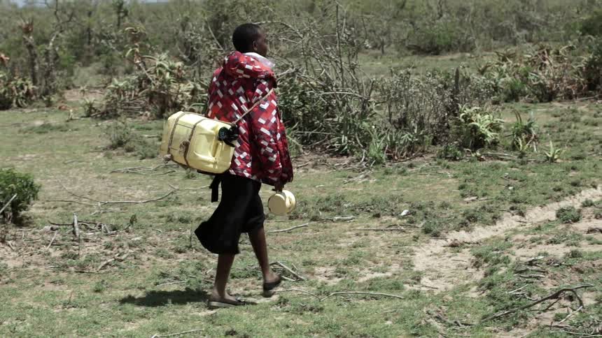 An african woman walks across a grassy field surrounded by brush while carrying a large container of water on her back
