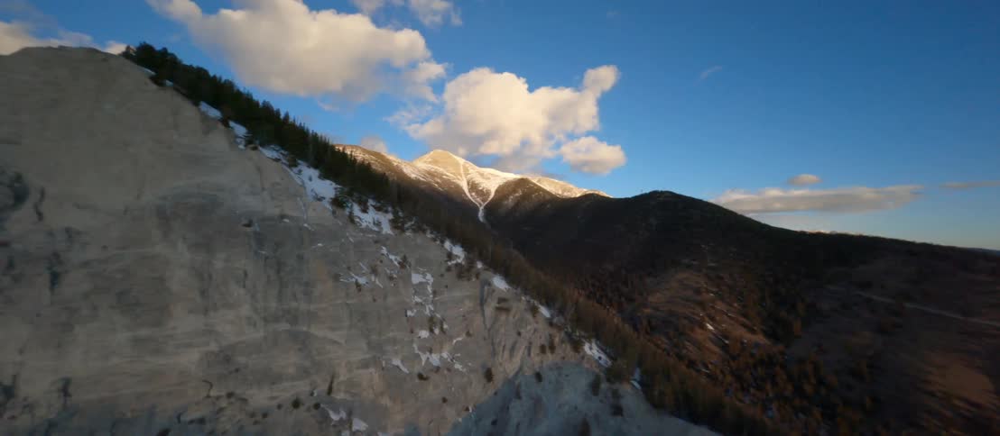A mountain range covered in fir trees