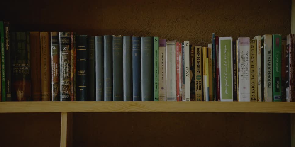 A row of books on a wooden bookshelf