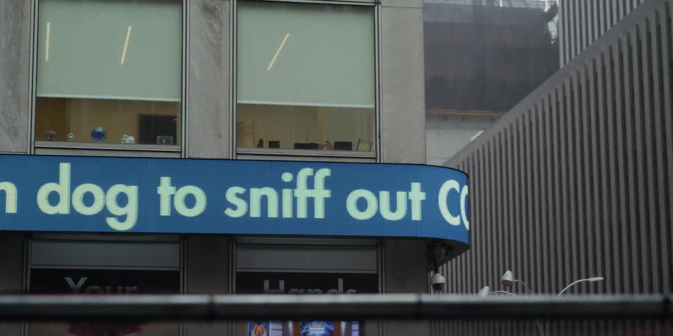 An advertisement announces a covid sniffing dog