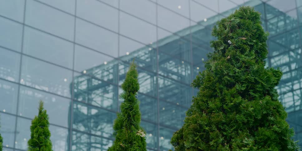 Trees wave in a breeze in front of an empty office building