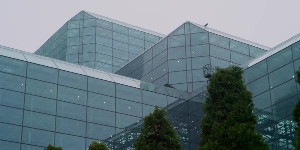 Trees sway in a breeze in front of an office building