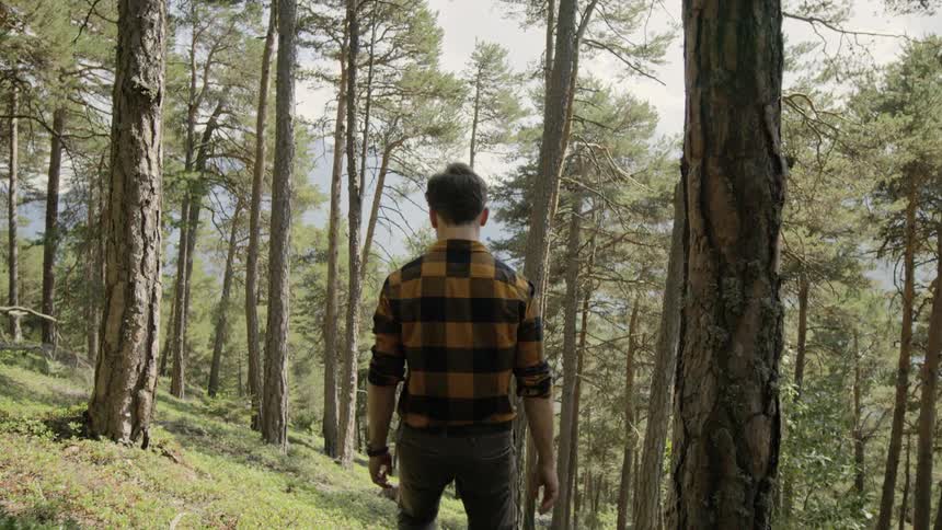 A man walks through a wooded area alone