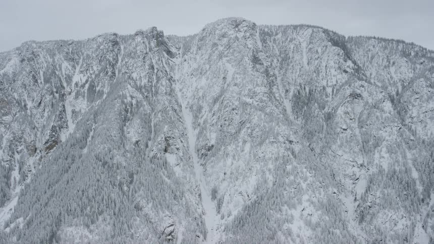 Evergreens covered in snow grow on a steep mountainside