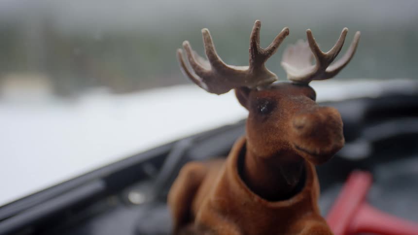 Bobble head moose figure rests on dash of moving vehicle with snow outside