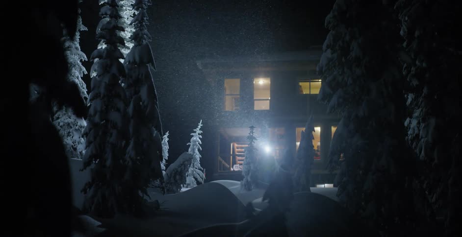 Trees covered with snow in a blizzard with a cabin in the background