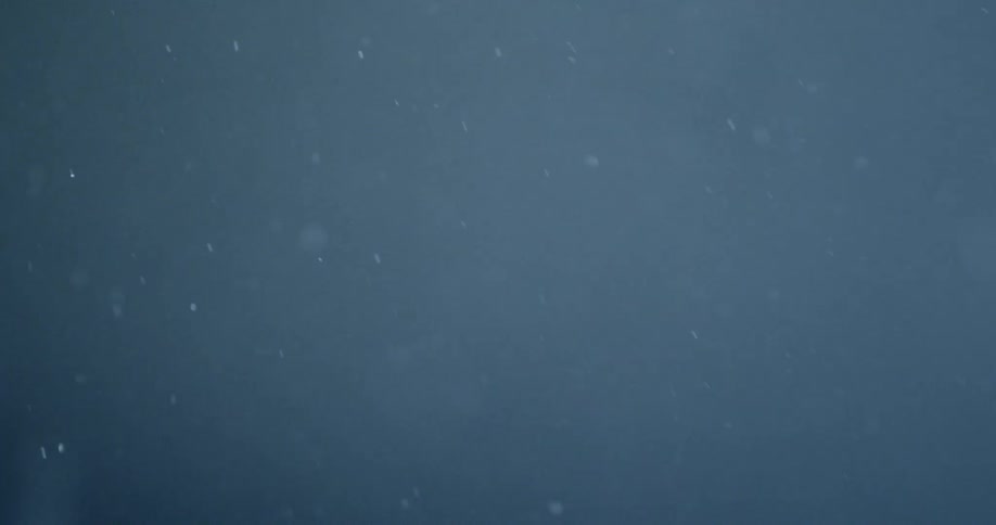 Glittery snow falls in the night sky