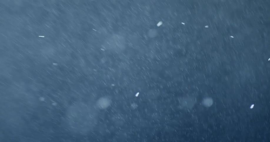 Snow falling in the night sky
