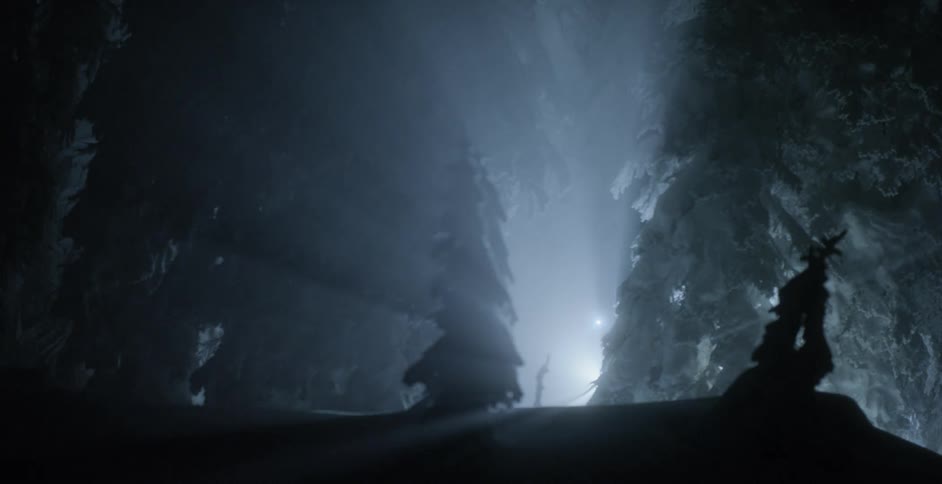 Lights shine behind trees covered in snow