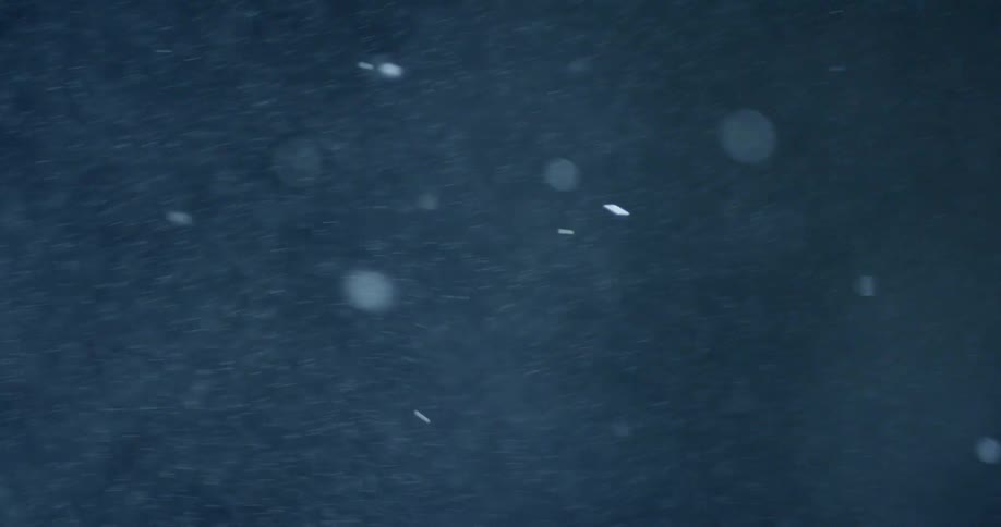 Snowflakes glint as they fall
