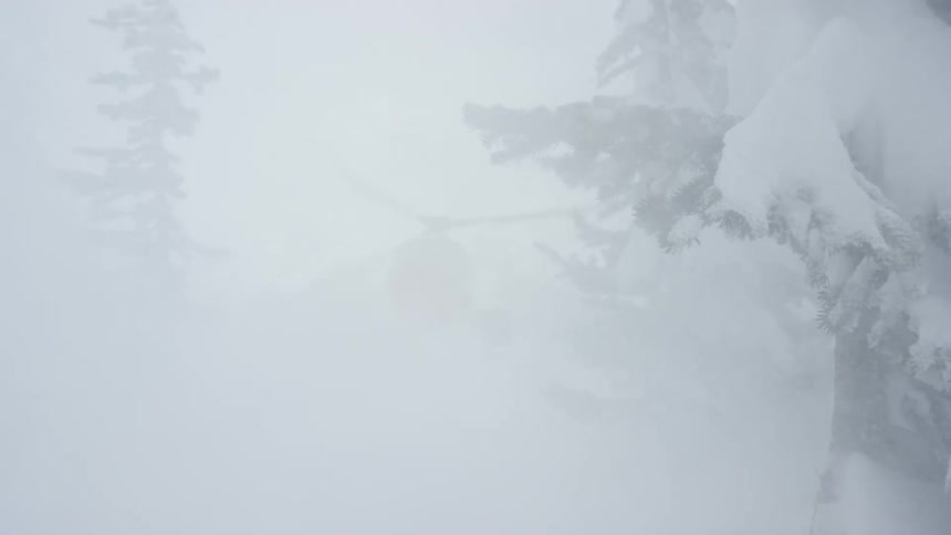A helicopter flies in the sky while the wind blows snow around a tree