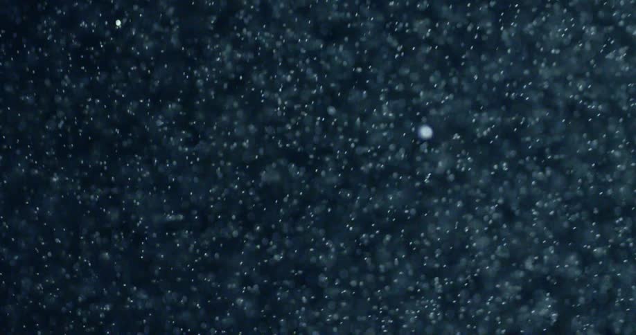 Snow falling in the night sky