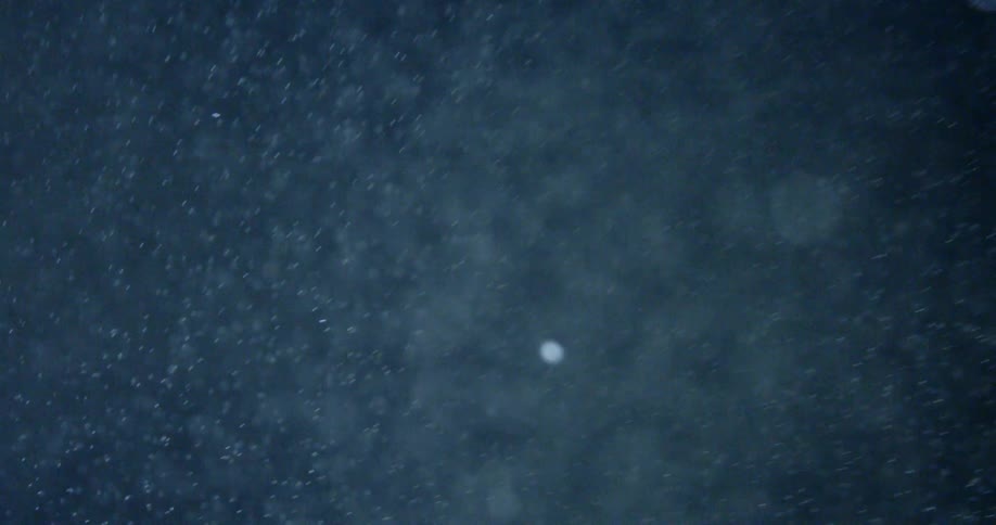 Snow falling in the night sky