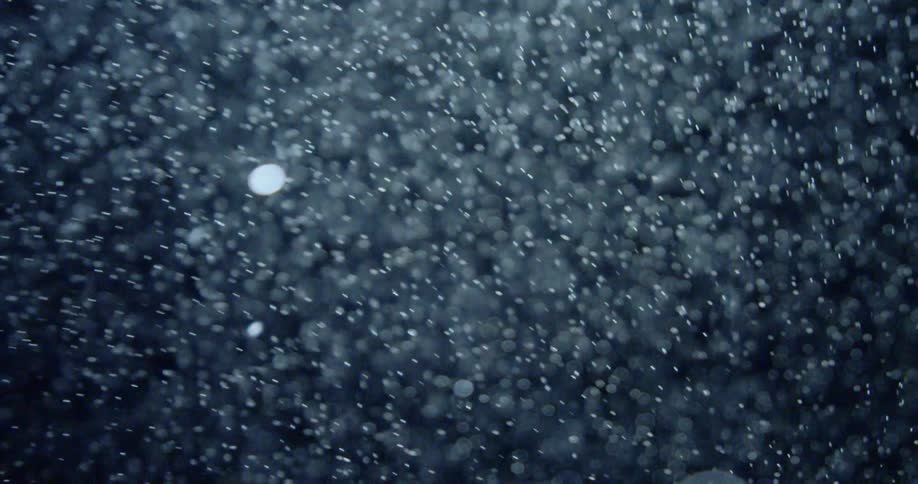 Snow falls in the night sky