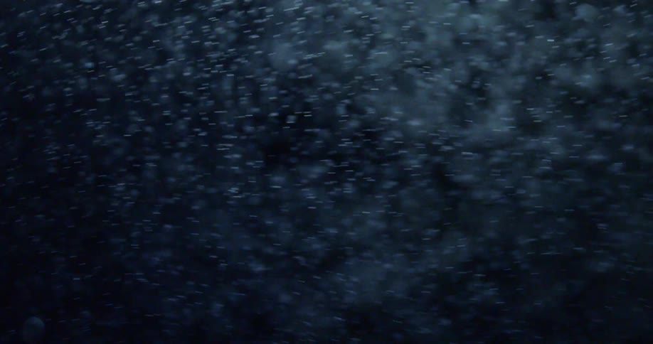 Snowflakes swirl in the air at night