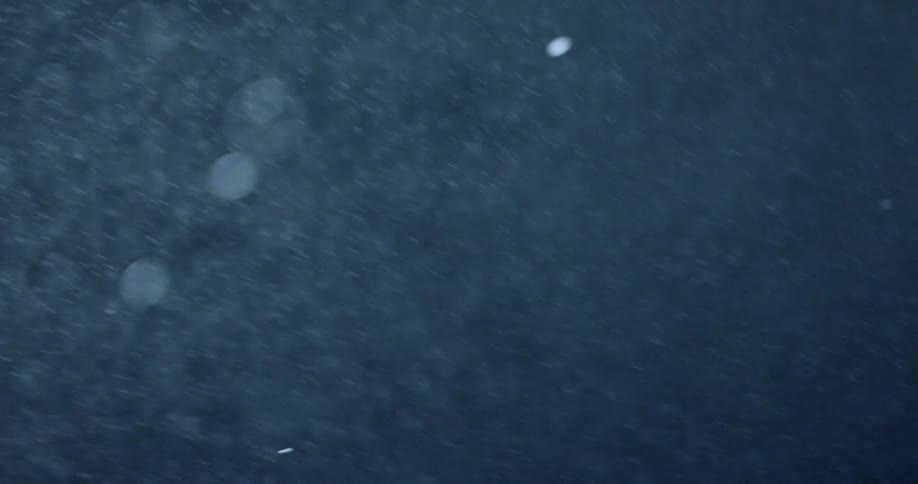 Snow falling in the night sky